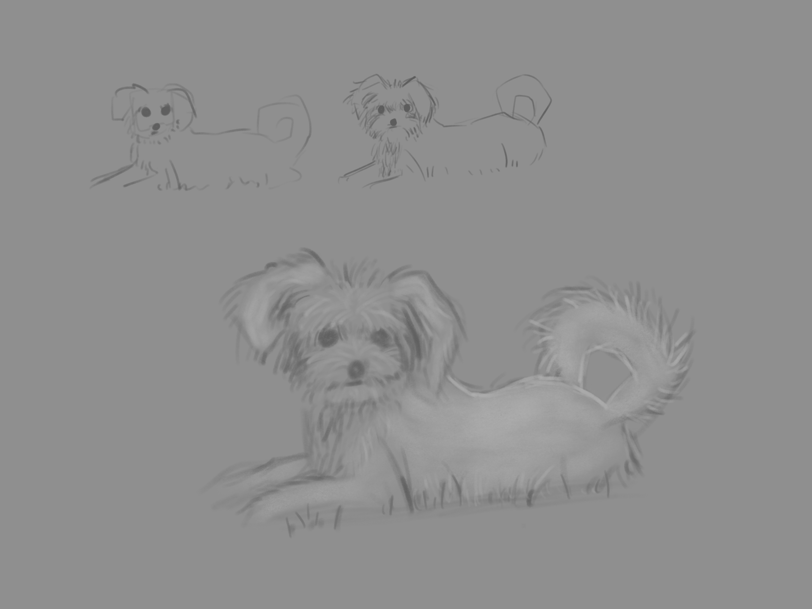 i keep forgetting i can draw