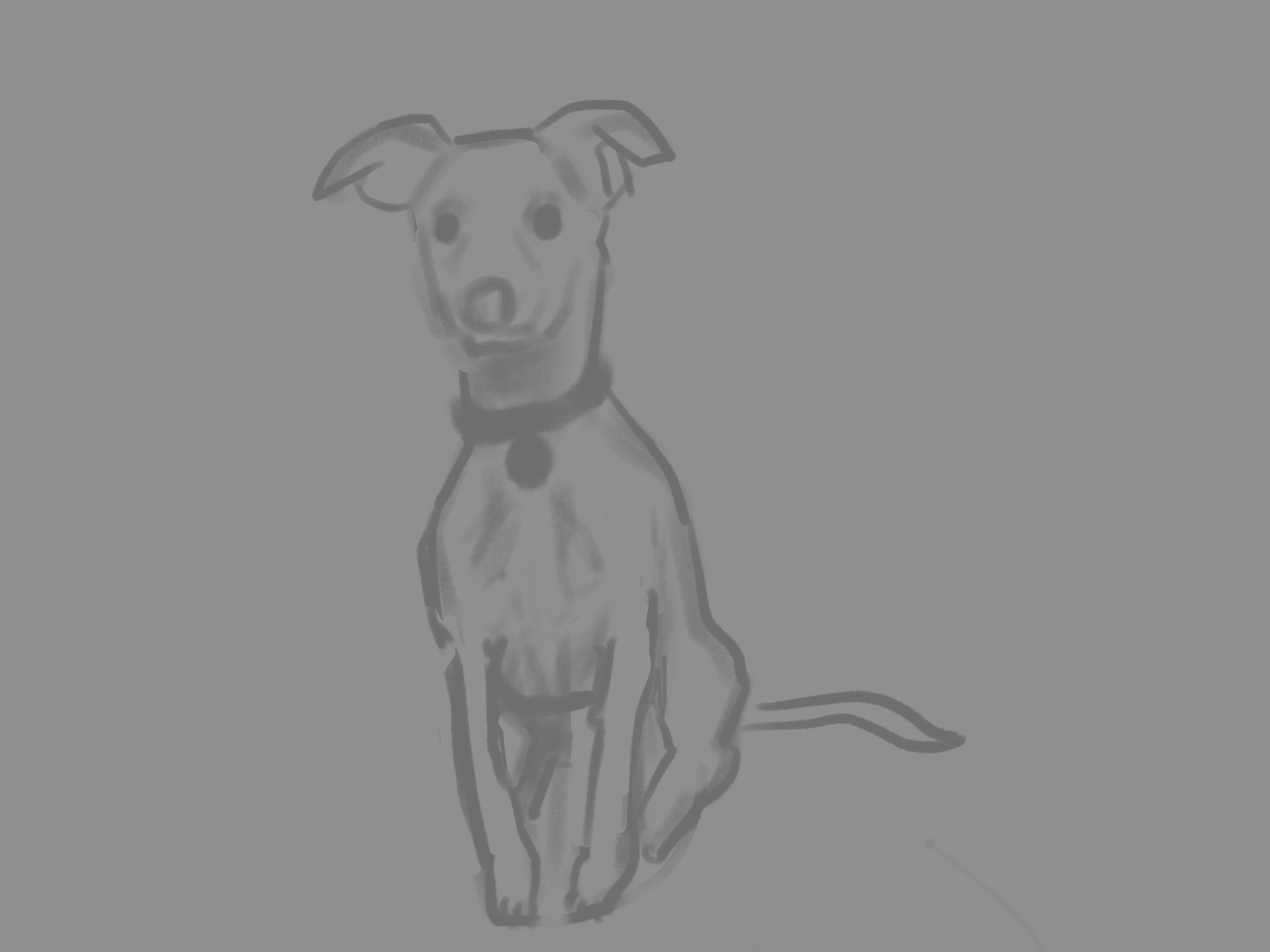 dog study